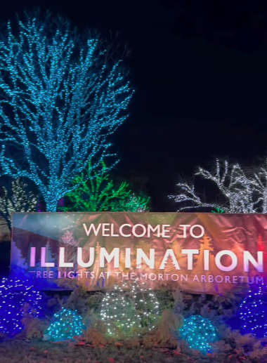 Illumination at the Morton Arboretum